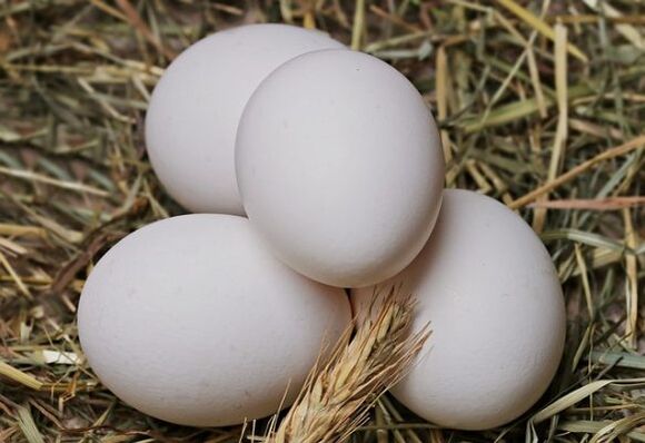 კვერცხის დიეტა მოიცავს ქათმის კვერცხის ყოველდღიურ ჭამას. 